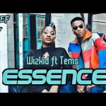 Essence - Wizkid ft Tems (official video) | images 7
