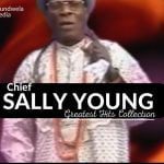 Best Of Chief Sally Young Greatest Hits