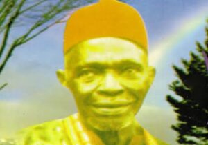 Chief Akunwafor Ezeigbo Obiligbo Biography | Chief Akunwafor Ezeigbo Obiligbo