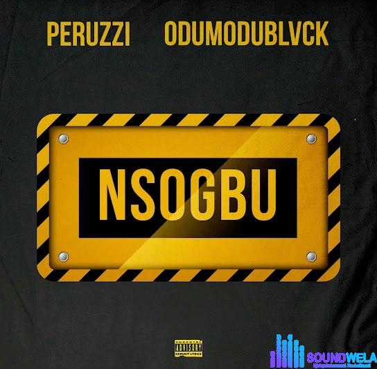 Peruzzi – Nsogbu ft. Odumodublvck | IMG 20231223 120638