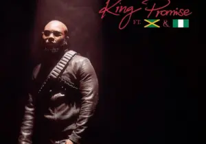 King Promise – Terminator (Remix) ft. Sean Paul & Tiwa Savage | King Promise Terminator Remix Sean Paul Tiwa Savage