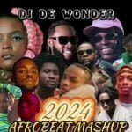 DJ De Wonder - 2024 Afrobeat Mashup | DJ De Wonder Afrobeat Mashup Mixtape