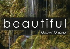 Godwin Omonu – Beautiful | Godwin Omonu – Beautiful