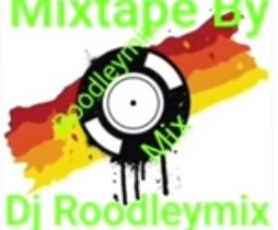 Dj Roodleymix - Only Vibe Mixtape 2024 | Only Vibe Mixtape 2024 Dj Roodleymix