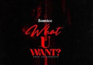 Somtee – What U Want | Somtee What U Want Soundwela