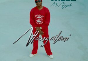 Willz Mr Nyopole – Ntangateni | Willz Mr Nyopole Ntangateni2